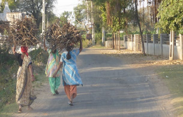 India Women Carrying Firewood for Cooking