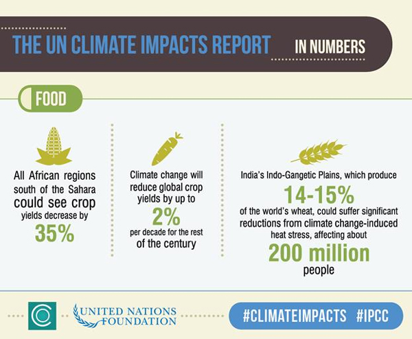 What Climate Change Means For Food Production | Unfoundation.org