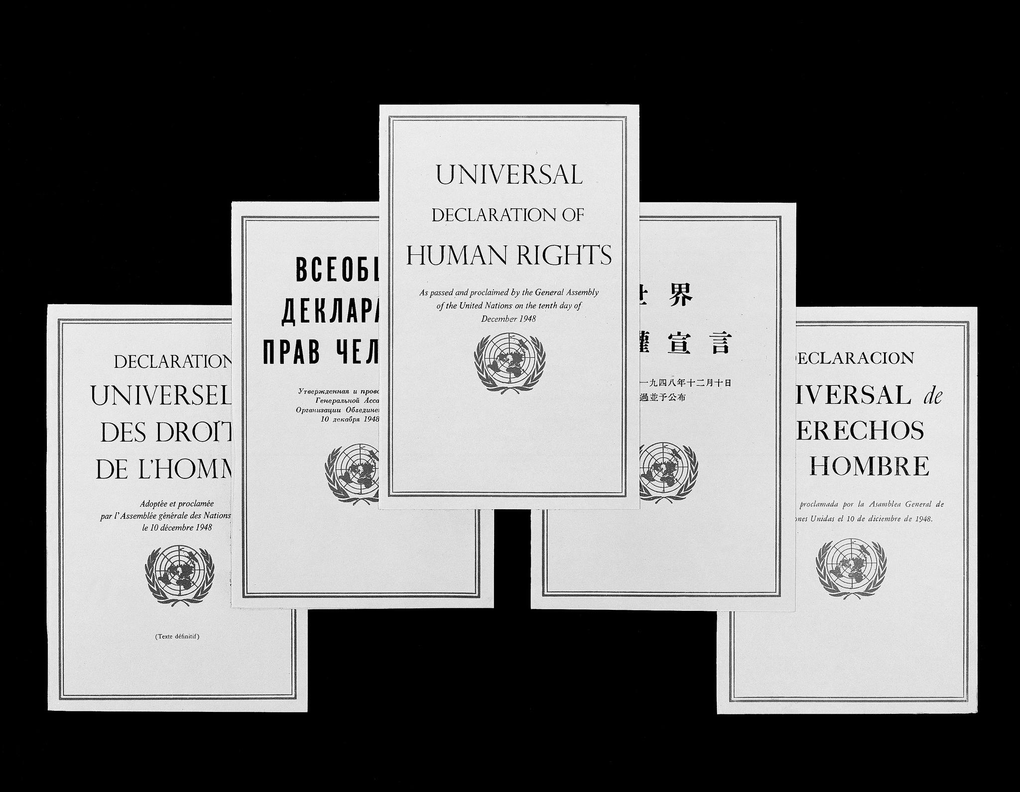 70 Years of Impact: Insights on the Universal Declaration of Human Rights |  unfoundation.org