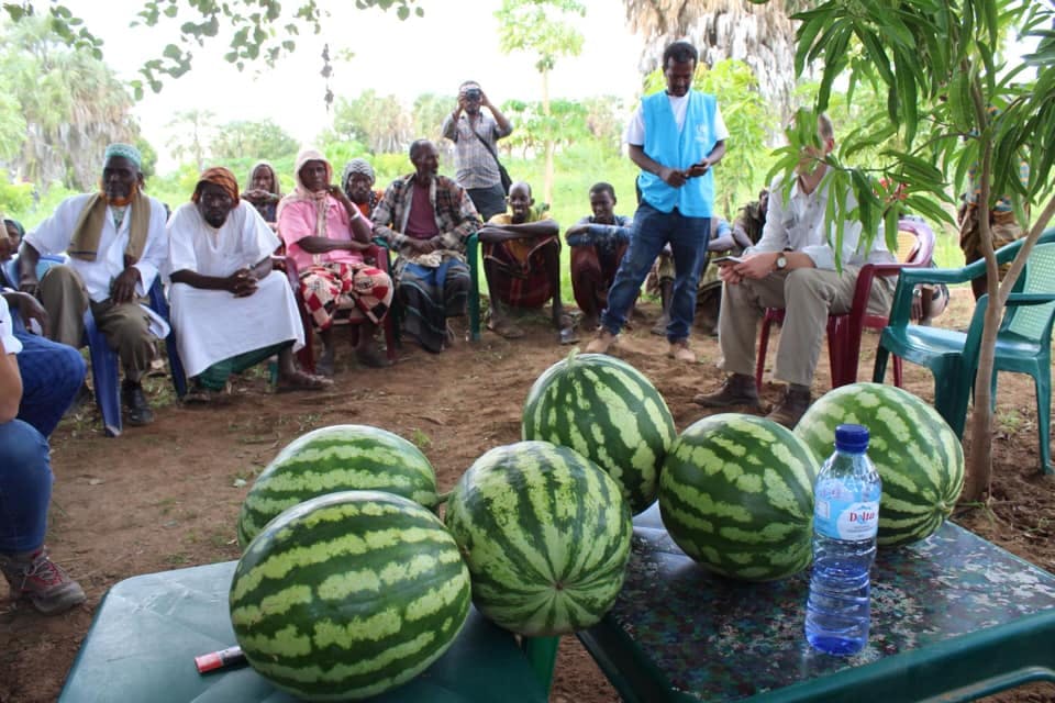 A WinWin Approach for Refugees and Host Communities in Ethiopia