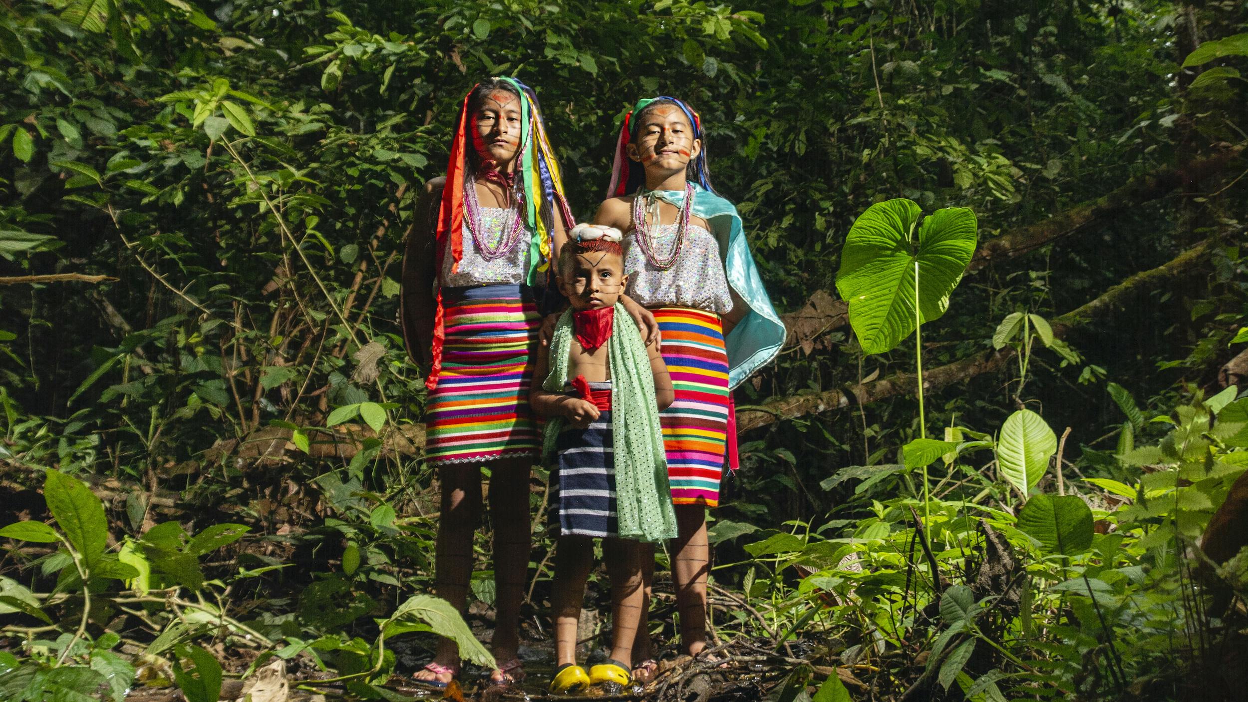 Respecting Ancient Forests in Ecuador and the Rights of the Tsa’chila ...