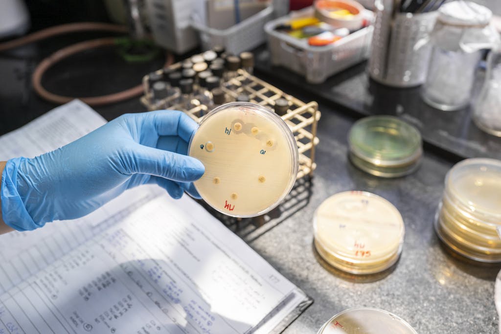 A lab worker analyzes a sample.