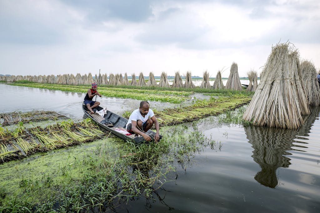 best essay on beat plastic pollution