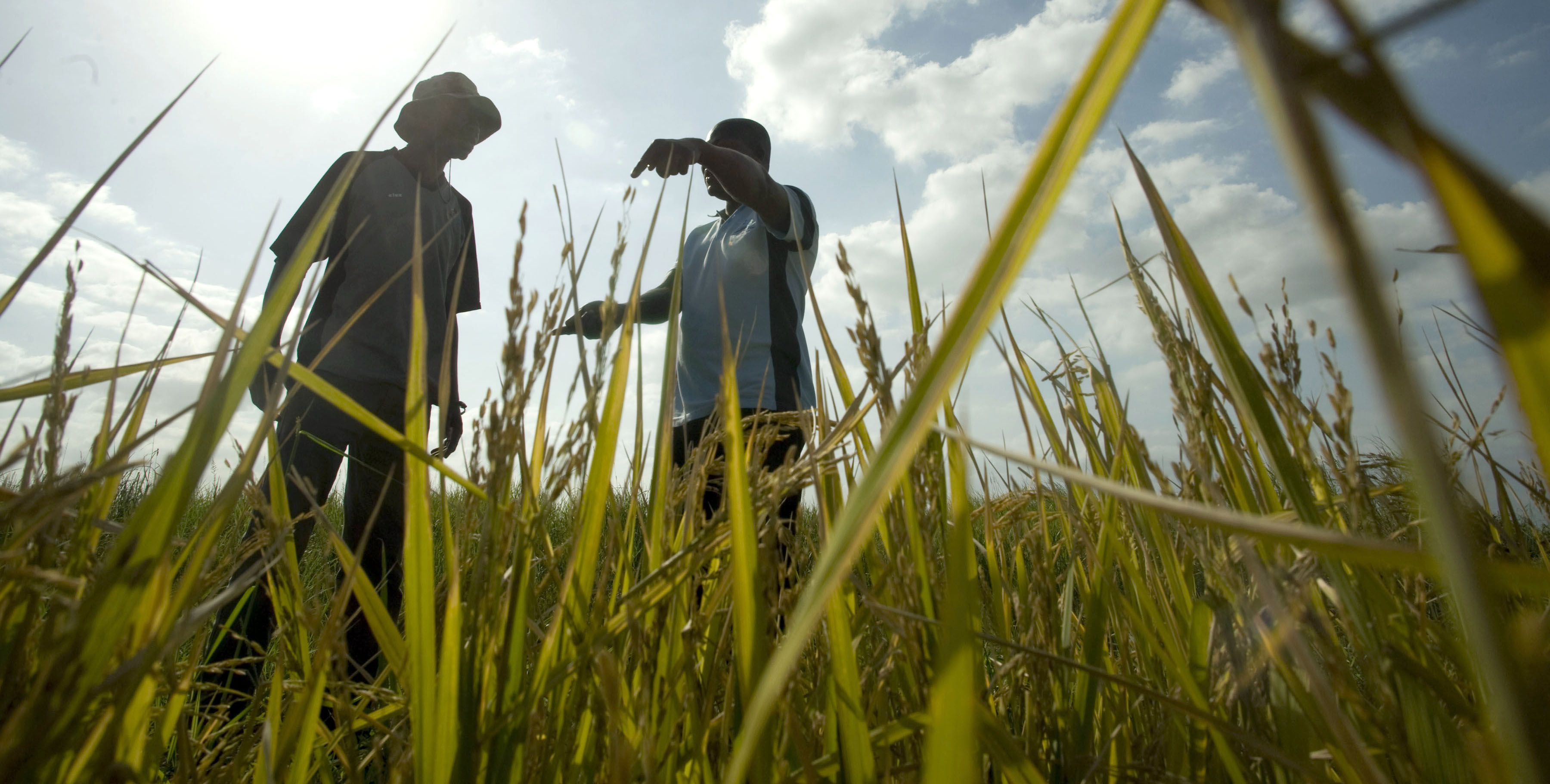 Climate Adaptation Is Key To A Climate Resilient Future. But What Does ...