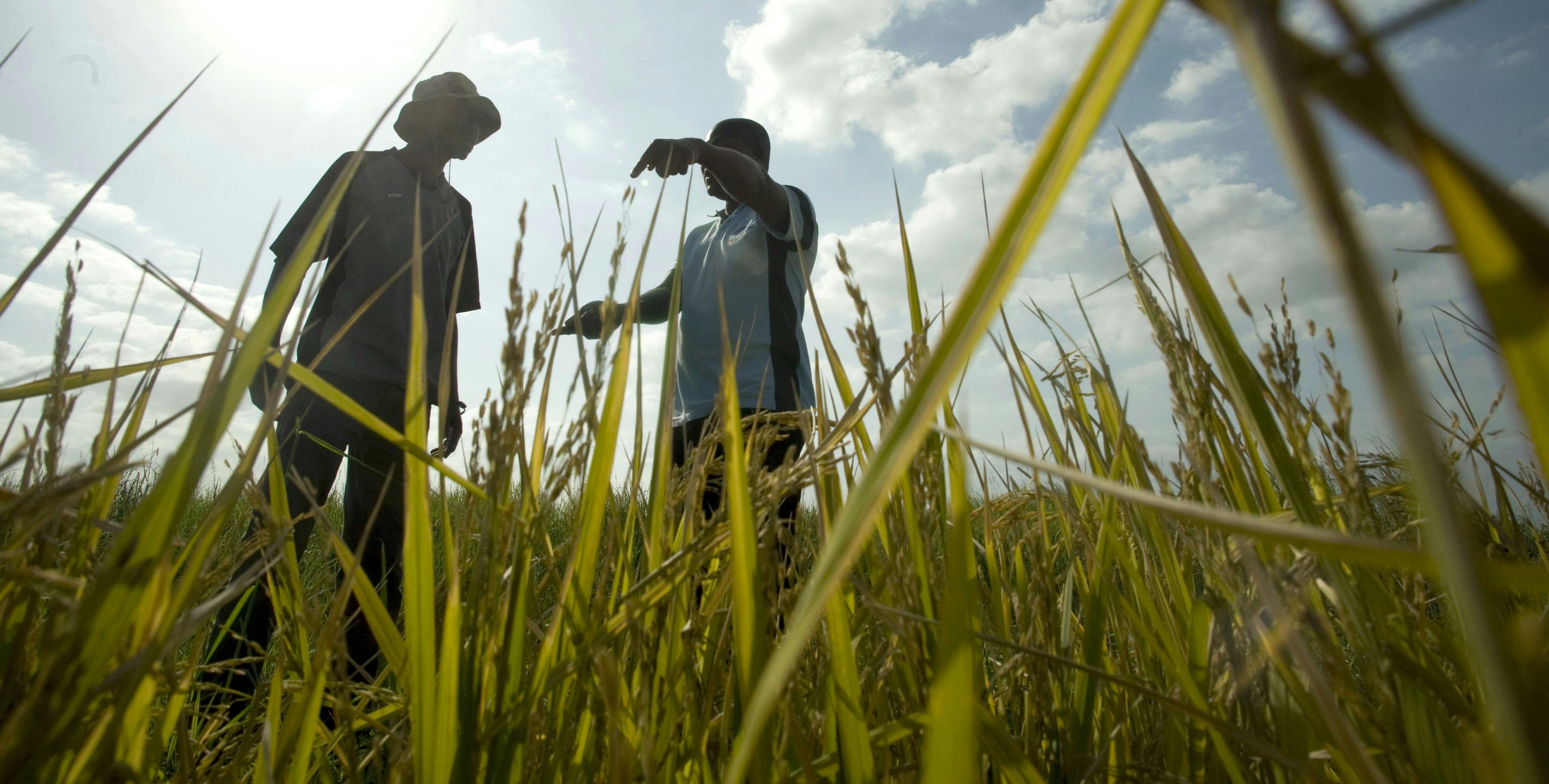 What Does Climate Change Resilience Mean