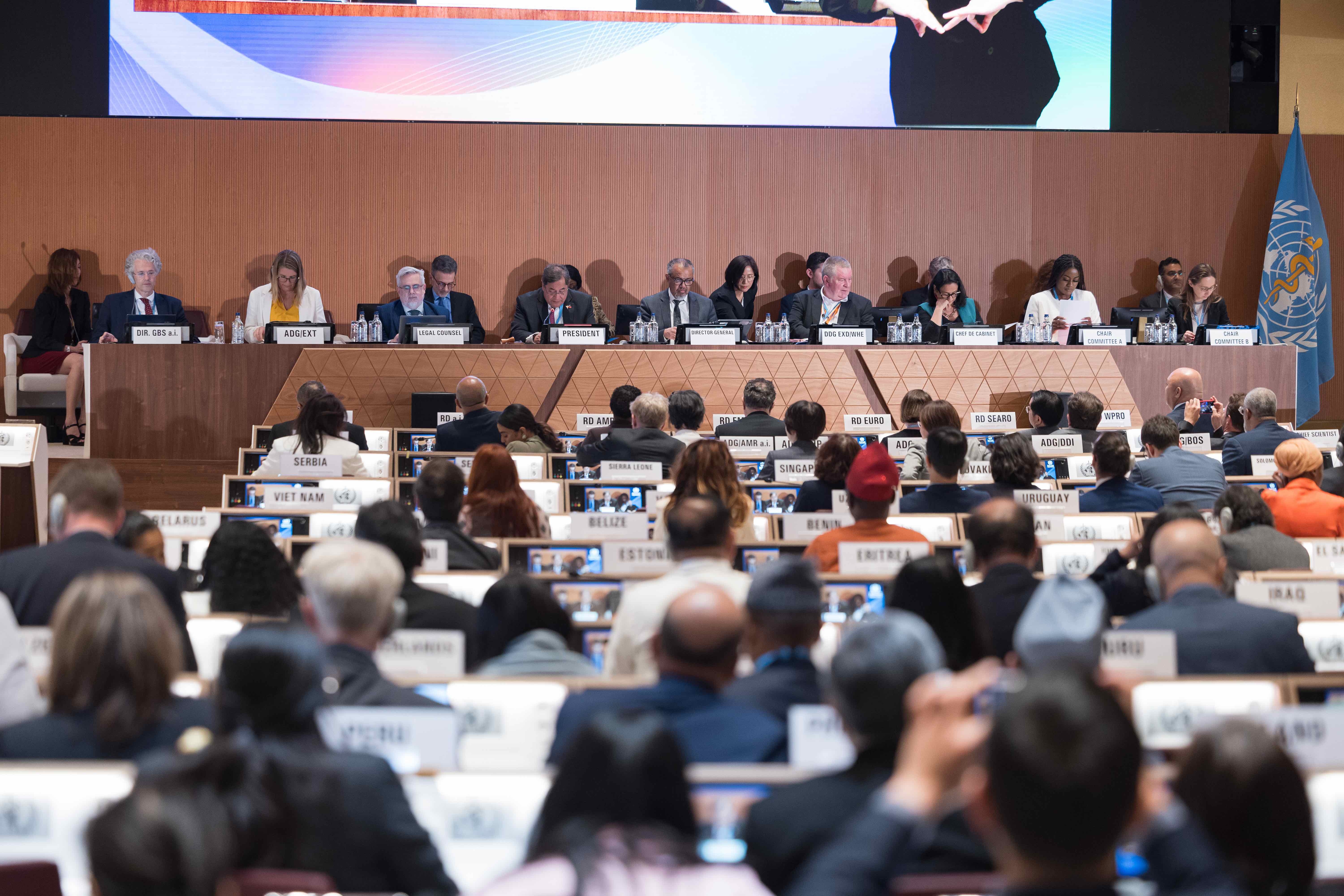 Closing Plenary session of the 78th World Health Assembly.